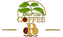 PurCur
