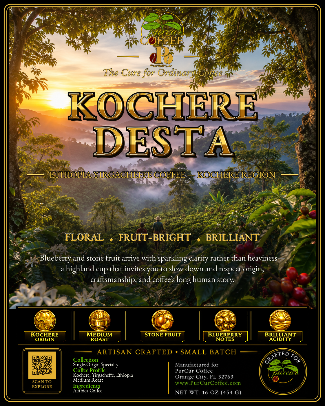 Kochere Desta
