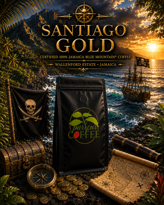 Santiago Gold